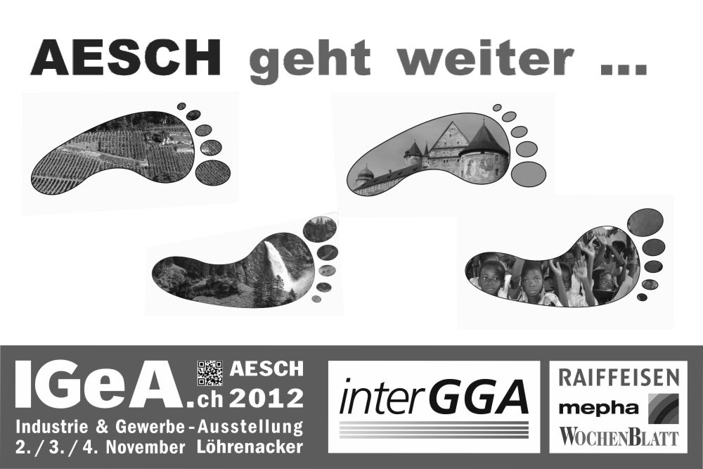 IGeA 2012 Stand Aesch