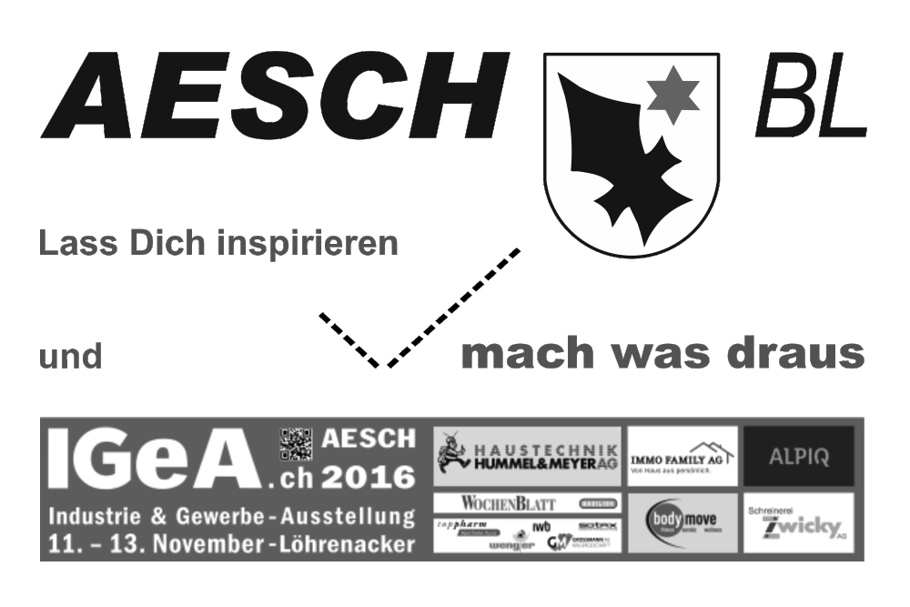 IGeA 2016 Stand Aesch