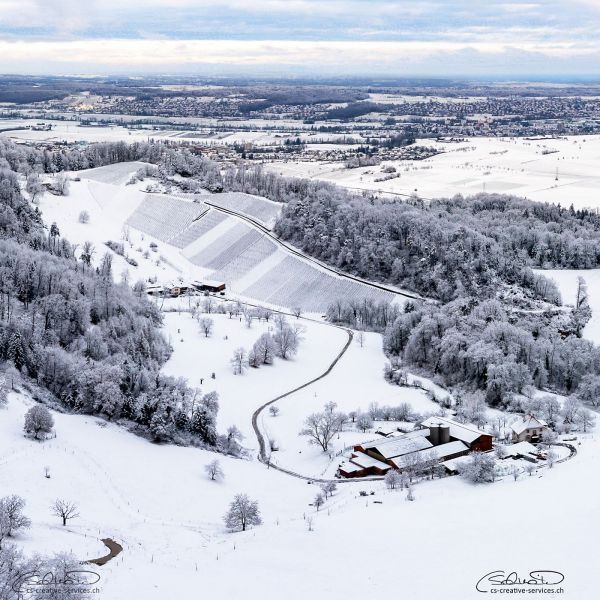 W3er Links Kluser Pano Jan25